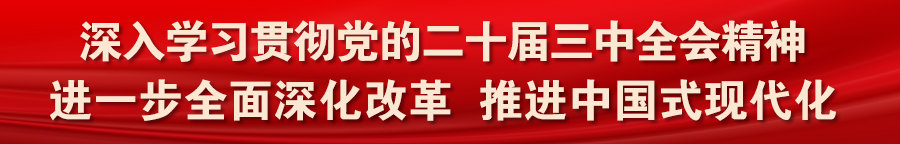 哨声一响, 赛事组委会